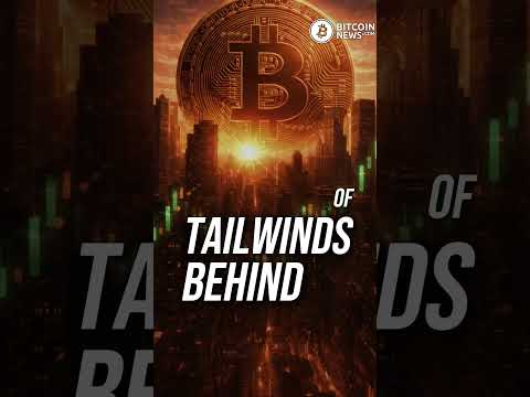 2026 Could Be Bitcoin’s Biggest Year Yet