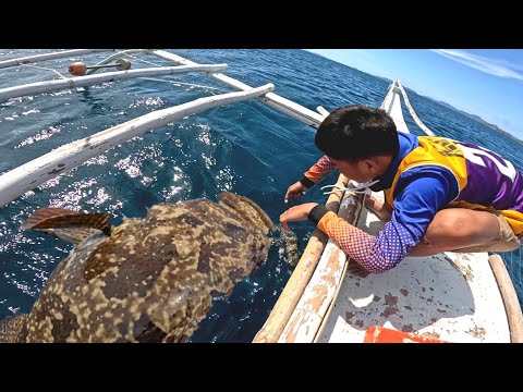 Dalawang Giant Grouper Ang pinalutang Ng Batang to!