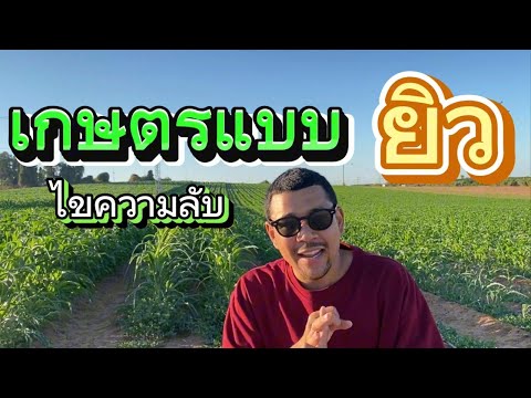 ทำเกษตรยังไง..ให้รวยแบบชาวอิสราเอล | วัยรุ่นอิสราเอล EP. 46 | @dobungyt
