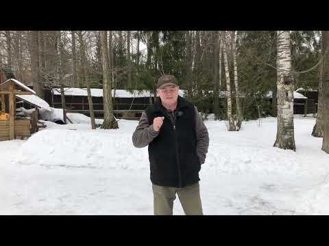 Why doesn't the dog obey?