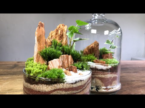 For beginners in making terrariums [Chapter 1]