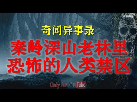 【灵异事件】陕西秦岭深山老林恐怖人类禁区，多年来不断有人遇难，到底藏着什么秘密 #鬼故事  #睡前故事 #解压故事 #灵异故事 #民间故事 #horror #ghost「奇闻异事录--灵异电台」