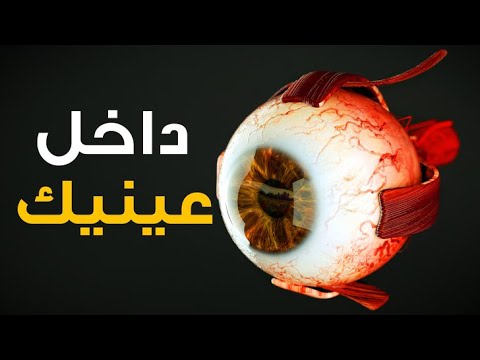 ماذا يحدث داخل عينيك