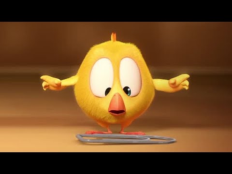The Paperclip | Where's Chicky? | Cartoon Collection in English for Kids | New episodes