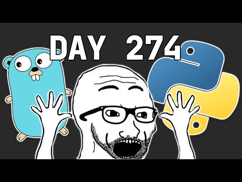 How Good Did I Get At Coding In 365 days?