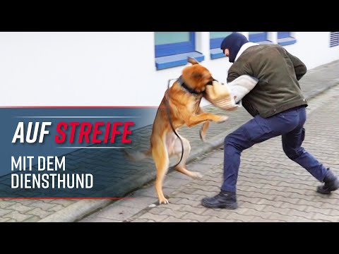 Auf Streife mit Diensthund Batman - Polizei Hessen