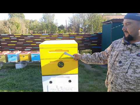 Технология Двухматочного Содержания Пчёл !!!