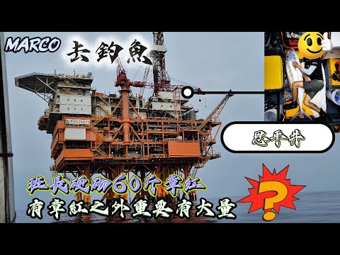 【釣魚篇】＃34 恩平井神秘探索🤔除咗雜魚之外仲有大大碌章红🤪估唔到仲有大量XX🤗