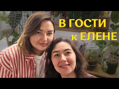 КРАСИВАЯ московская КВАРТИРА с РАСТЕНИЯМИ | в гостях У ЕЛЕНЫ | растения В ИНТЕРЬЕРЕ 🪴