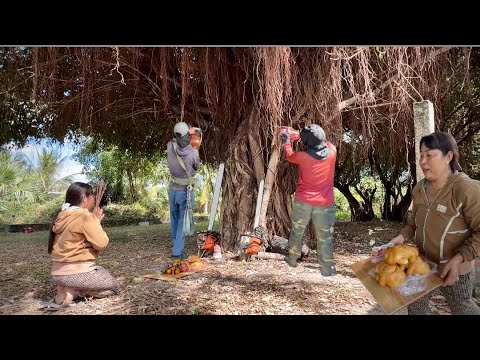 trị gái quỳ loại cây xanh sinh cho hai thợ cưa nhánh cắt cành # Bangcuacay