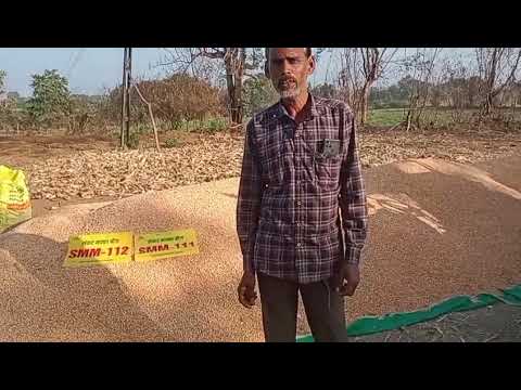 चन्द्रावान लोधी जी ने एसएमएम कंपनी का मक्का लगाया किसानों को वीडियो द्वारा मैसेज दिया👍👍👍🌽🌽🌽🌽👍