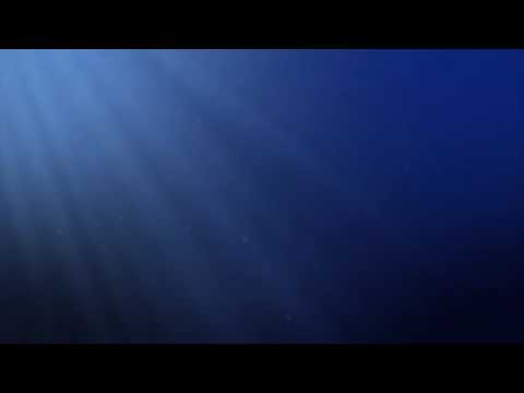 Underwater Scene with Sunrays | 4K Relaxing Screensaver