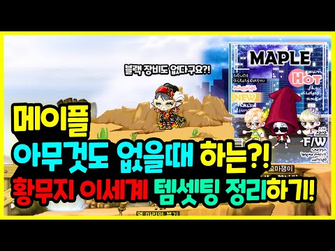 [메이플] 아무것도 없는 🦸‍♀️ 쌩뉴비들이 하는?! 초반부터 쓰는 🥇 황무지 템셋팅 총정리하기🚀