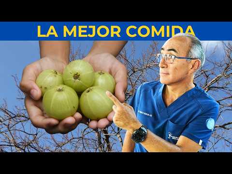 🥑 La Mejor Comida para el Colesterol Alto