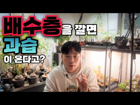 If I lay a drainage layer, will it cause over-humidification?