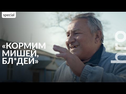 "Mushrooms grew on the ceiling. But we're home." Pravdyne near Kherson a year after deoccupation