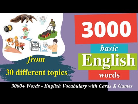 3000+ WORDS | English Vocabulary For Everyday Conversation with Flashcards and Games