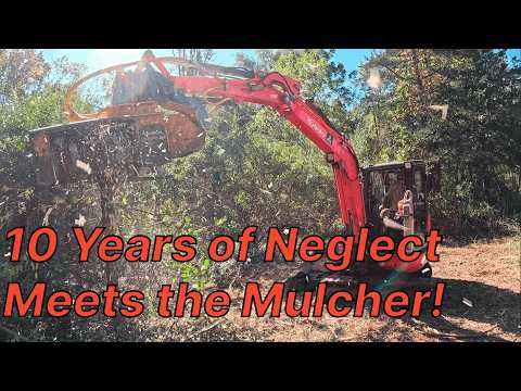 This Yard Was Lost for 10 Years — The Cleanup Begins