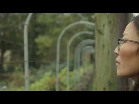 A Day in the Life of a Listing: Photographer Emil Bendixen captures the soul of Bristol