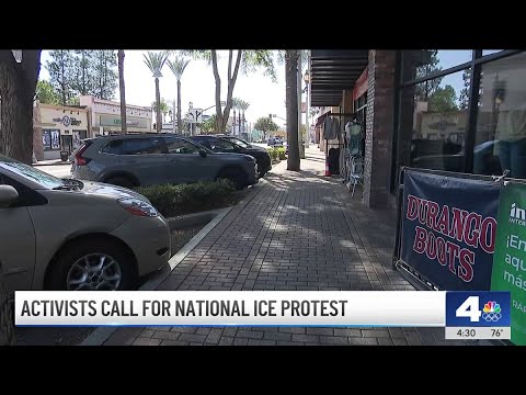 ‘National shutdown' planned to protest ICE