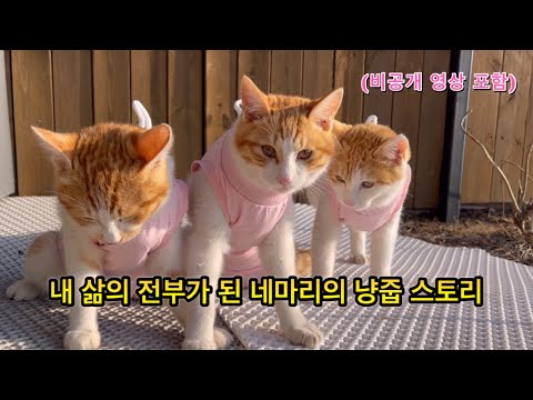 척이네 식구들 2년간의 풀 스토리 2부 그리고 대구리와의 만남