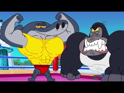 ZIG e SHARKO 🌴 O Lutador Misterioso | Zig e Sharko Brasil | Desenho Animado em português