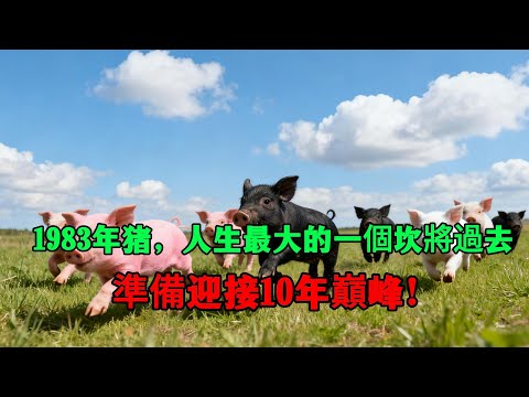 1983年的【豬】，你人生『最大的一個坎』即將過去！準備迎接10年巔峰！#1983年屬豬 #屬豬 #癸亥豬 #生肖 #生肖運勢 #運勢 #轉運 #2025年運勢 #生肖豬 #命理 #財運 #事業運