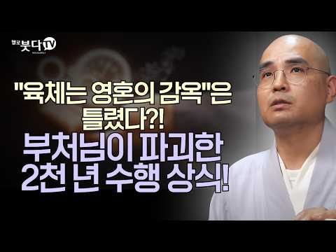 "육체는 영혼의 감옥"은 틀렸다?! 부처님이 파괴한 2천 년 수행 상식! | 자현스님이 알려주는 진짜 불교 이야기 | 불교란 무엇인가 통합본 7회