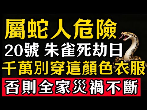 生肖蛇必看！明天12月20號「朱雀死劫日」，農曆十一月初一，這天千萬別穿這顏色衣服，否則容易招黴運，家人需註意安全！#張天師道法#屬相運勢#生肖#家運#生肖運勢的那些事#先知#風水變化#提升運勢