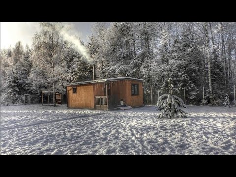 First Snow At Our Off Grid Cabin: A Fox Came to Visit.