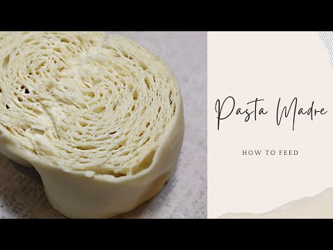 Pasta Madre | Stiff Sourdough | How to Feed Using a Mixer