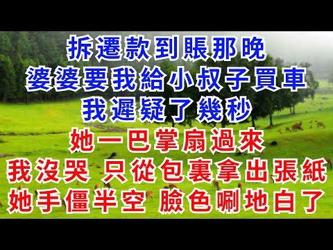 拆遷款到賬那晚，婆婆要我給小叔子買車。 我遲疑了幾秒，她一巴掌扇過來。 我沒哭，只從包裏拿出一張紙，她手僵在半空，臉色唰地白了。【雲裳書苑】#情感故事#故事#小說#戀愛#情感#婚姻