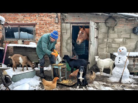 Rural life in winter! An interesting story of a happy couple!