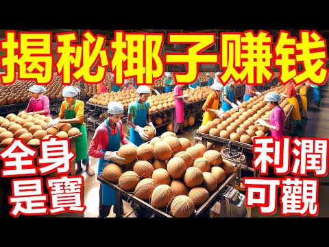 椰子種植和加工的全過程！令人大吃一驚！每一步都令人驚歎！