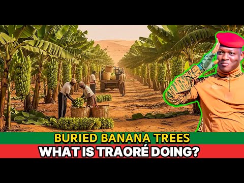 What’s REALLY Behind Traoré’s Banana Plan to Rebuild the Sahel Desert?