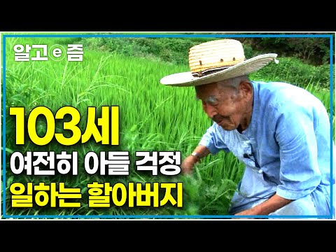 "가난했던 시절 잘해주지 못한 기억에 마음이 아팠어요" 103세 할아버지가 아직도 자식을 위해 일을 하는 이유｜장수의 비밀｜알고e즘