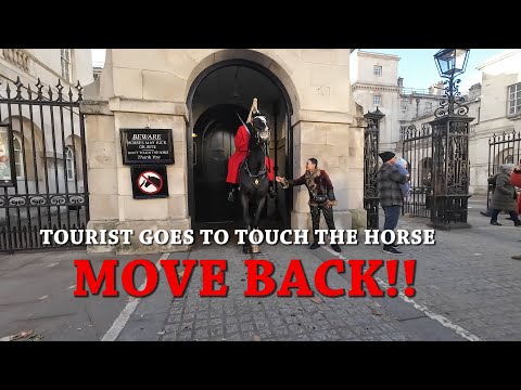 HORSE GUARDS Tourist Tries To Touch The Horse Tourists Show No Respect #horselove #horse #london