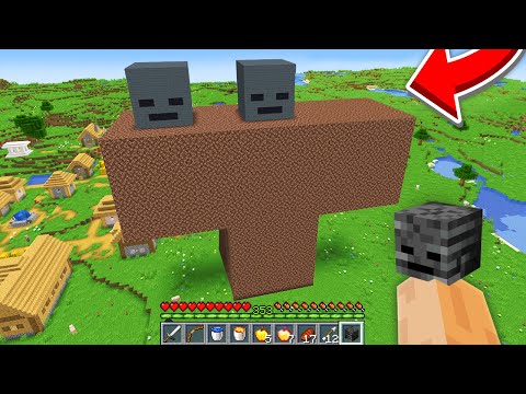 Minecraft, But What's this Wither?!