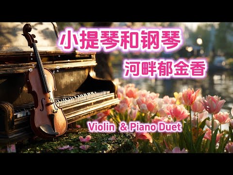 小提琴与钢琴轻音乐，郁金香在河岸，春光落在琴弦上。一杯咖啡的温度，刚好装下这片温柔的时光，为你带来片刻轻松与明亮的心情Spring Melody & Coffee by the Tulip River