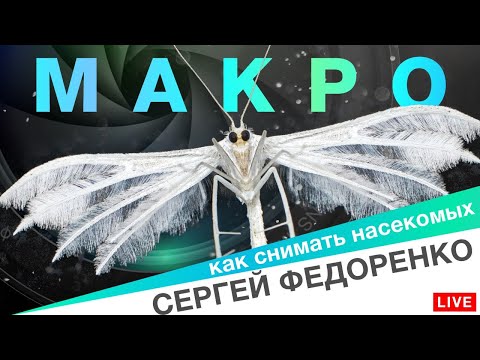 Макрофотография. От телефона до микроскопа — полный обзор оборудования для макро