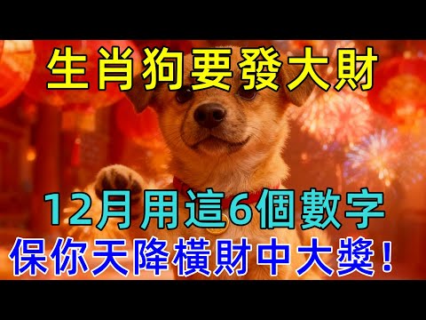 生肖狗要發大財，12月用這6個數字，保你天降橫財中大獎！#生肖运势#佛陀#佛學 #佛法 #佛教 #修行 #智慧 #因果 #佛家  #佛學知識 #佛學智慧 #修心修行 #佛教文化 #禪悟人生