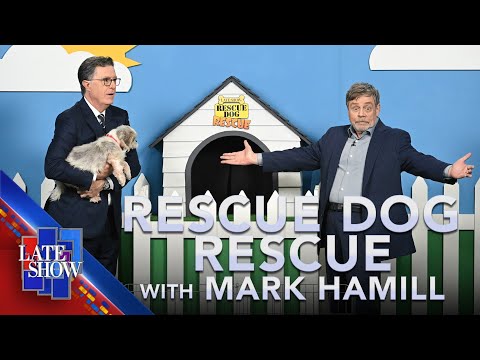 Rescue Dog Rescue with Mark Hamill