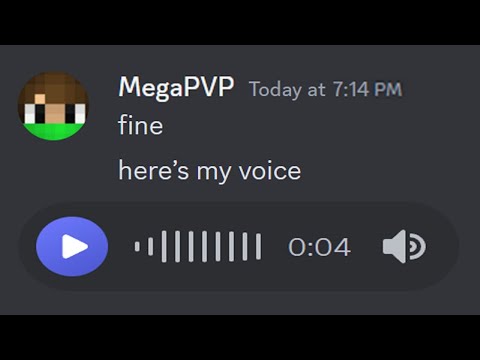 MEGAPVP VOICE REVEAL