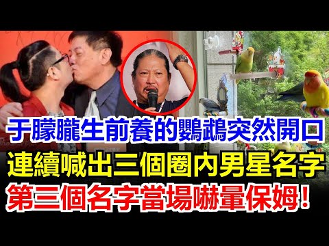 于朦朧生前養的鸚鵡突然開口，宋伊人連續喊出三個圈內頂流男星名字！當喊到第三個時，保姆當場嚇到昏倒！這三個人到底跟他有什麼血海深仇？#于朦朧#于朦胧#於朦朧#宋伊人#程青鬆#方勵#焦邁奇#范世琦