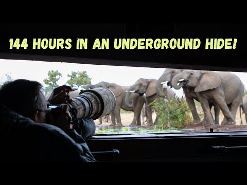 I spent 144 hours in Umgede Underground Hide at Antares Bush Camp!