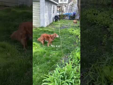 Let’s chaos garden 🌸👀