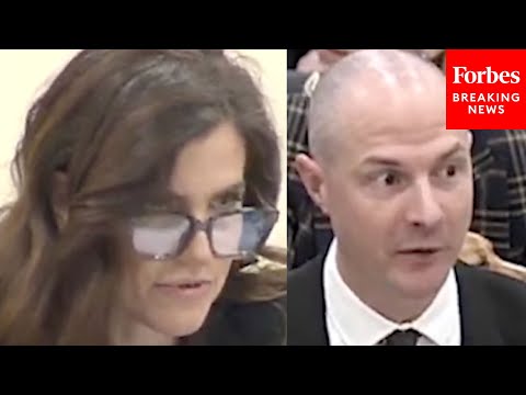 Nancy Mace Questions Witness About Government-Funded Gender Transition Experiments On Animals