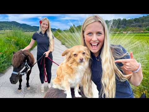 KIWI BESTIMMT den Tag!