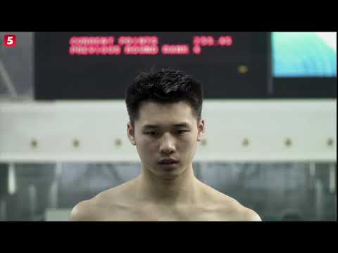 国际泳联跳水系列赛北京站/Aisen focus