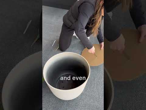 Front Porch Refresh! (Full Video coming soon!)